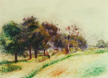 Paesaggio