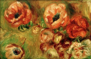 Le Anemoni