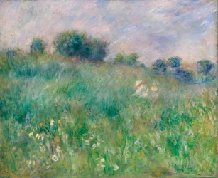 Prato