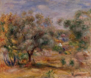 Ulivo a Les Collettes, 1910-15 circa (olio su tela)