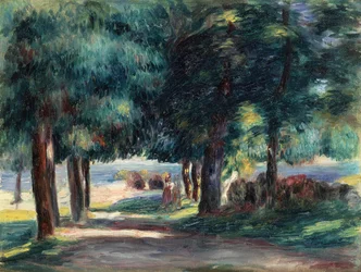 Sentiero sotto gli alberi