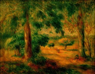 Paesaggio del Midi