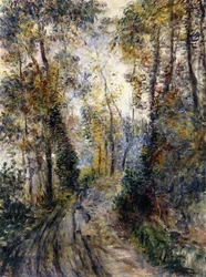 Il sentiero nella foresta