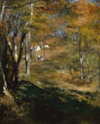 Giovani alberi nella foresta