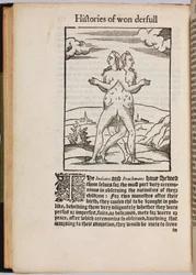 Una raccolta di storie straordinarie Histoires prodigieuses, 1560