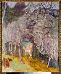 Casa tra gli ulivi