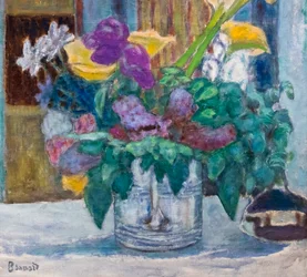 Iris e lilla