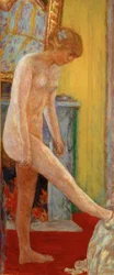 Giovane ragazza nuda davanti al camino