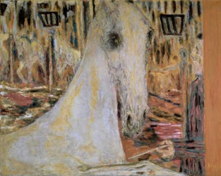 Il cavallo del circo