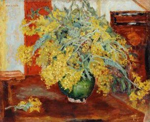 Mimose