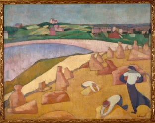 Mietitura al bordo del mare