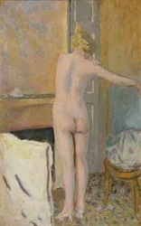 Nudo davanti a un caminetto