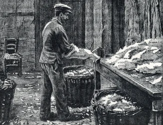 Pelle: divisione delle pelli di coniglio per fare il cuoio Incisione da 