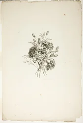 Bouquet con garofani, dalla Collezione di diversi bouquet di fiori, inventati e disegnati da Jean Pillement e incisi da P. C. Canot