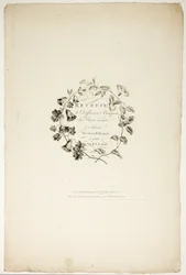 Copertina per la raccolta di diversi mazzi di fiori, inventati e disegnati da Jean Pillement e incisi da P. C. Canot