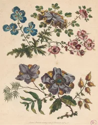 Due rami di fiori immaginari