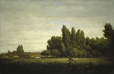 Un Prato Bordato di Alberi