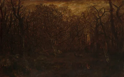 La foresta in inverno al tramonto