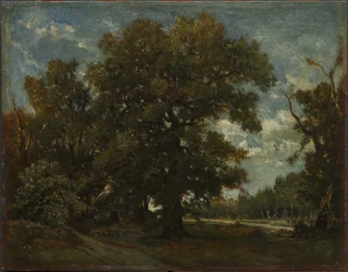 La quercia, XIX secolo