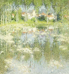 Paesaggio estivo