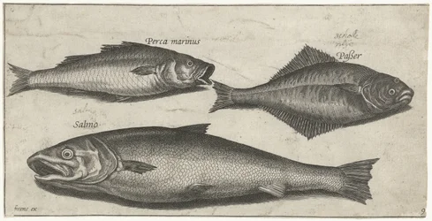 Spigola, sogliola e salmone