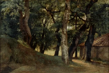 Foresta della Villa Borghese, fine XVIII-inizio XIX secolo