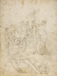 Disegno