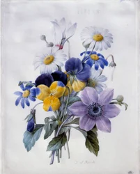 Un mazzo di fiori: clematide, viola del pensiero, margherita e ciclamino