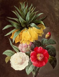 Fiori esotici