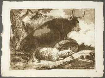 Un toro e due pecore