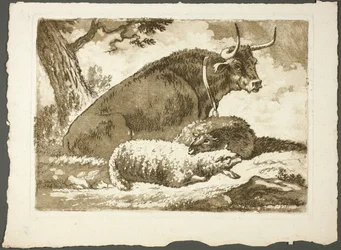Un toro e due pecore