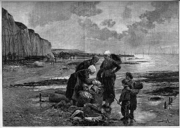 La pesca di Dieppe, bassa marea. Incisione dal dipinto di Pierre Beyle (1838-1902) in "Le Monde Illustré" n.1327 del 2 settembre