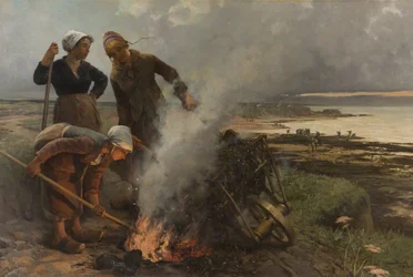 Le bruciatrice di alghe
