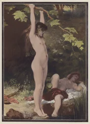 Nel bosco