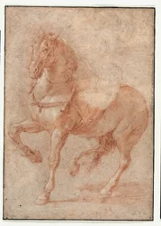 Studio di Bucefalo per il rilievo "Alessandro e Diogene