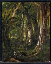 Viaggiatori in una foresta cubana
