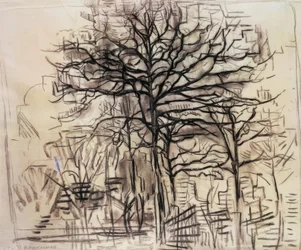Studio di alberi