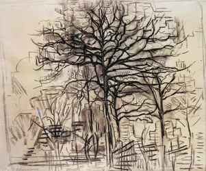 Studio di alberi, di Piet Mondrian, disegno a carboncino e biacca. Paesi Bassi, XX secolo