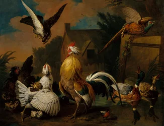 Un Falco che Attacca il Pollame in un Cortile