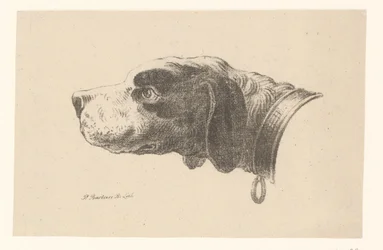 Testa di cane con collare