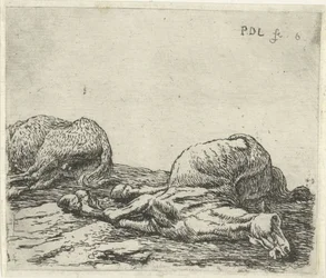 Due cavalli morti