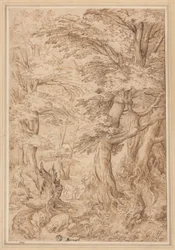 Paesaggio forestale con animali selvatici