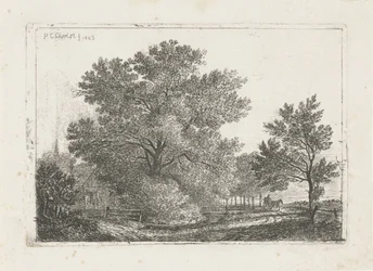 Paesaggio con grande albero