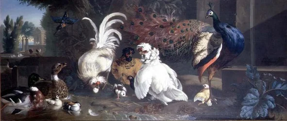 Un pavone, galline, anatre e un martin pescatore