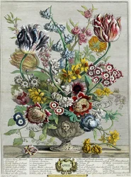 Aprile, da "Dodici mesi di fiori"