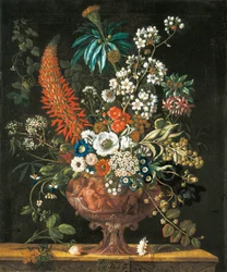 Dicembre, da I Dodici Mesi di Fiori, un calendario floreale di nature morte, 1730