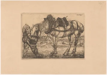Uomo che nutre un cavallo da un secchio