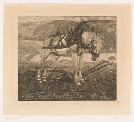Cavallo che ara su una collina