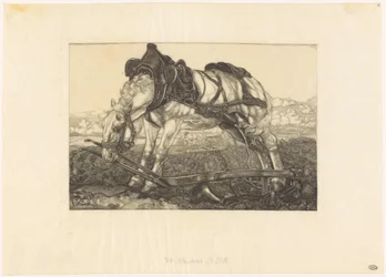 Cavallo da tiro a riposo