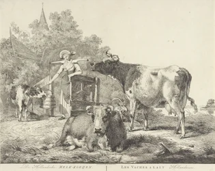 Mucche e lattaia